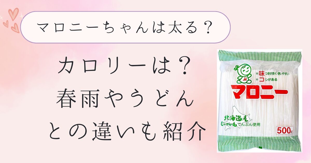 マロニーちゃんは太る？カロリーは？春雨やうどんとの違いも紹介